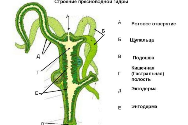 Сайт кракен зайти